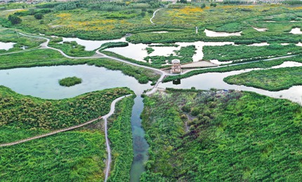 蘭州新區(qū)地域?qū)掗?，地?shì)由西北向東南傾斜，東西兩面是低矮黃土山丘，南北長(zhǎng)60公里，東西最寬處21公里，平均海拔高度1910米。