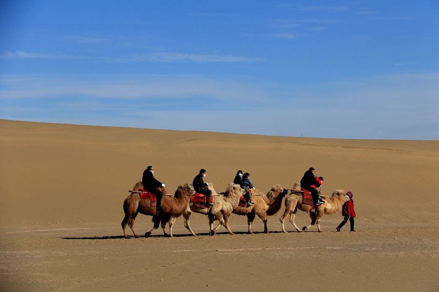 游客在鳴沙山月牙泉景區(qū)乘騎駱駝游覽。張曉亮攝