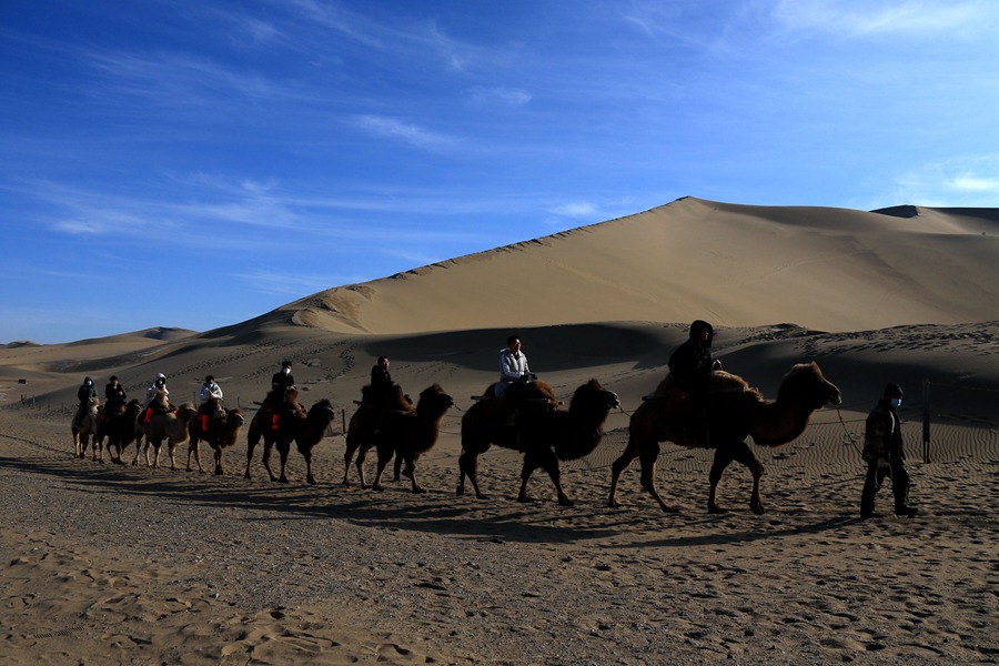 游客在鳴沙山月牙泉景區(qū)乘騎駱駝游覽。張曉亮攝