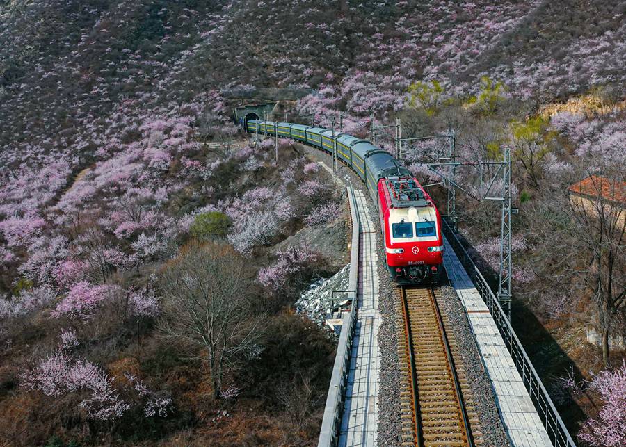 到甘肅崇信，看春日里的花海列車(chē)