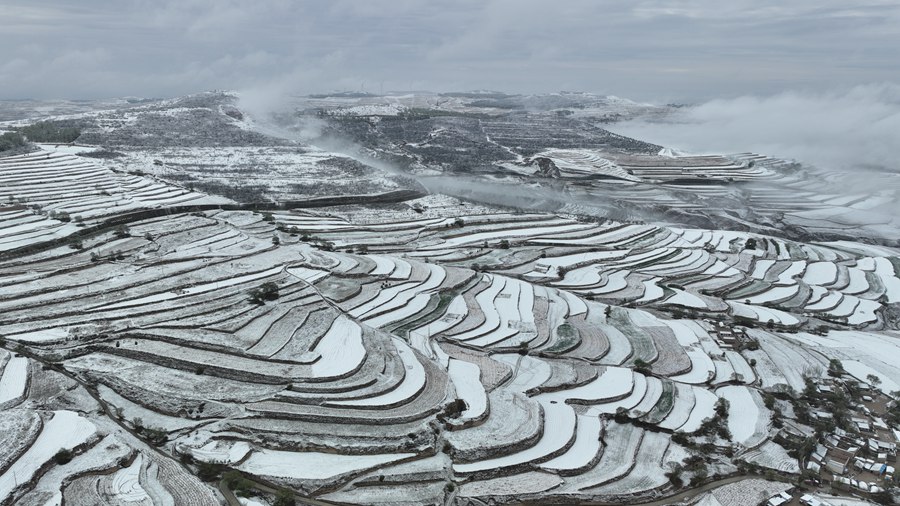 雪霽梯田壯美如畫。張文博 攝