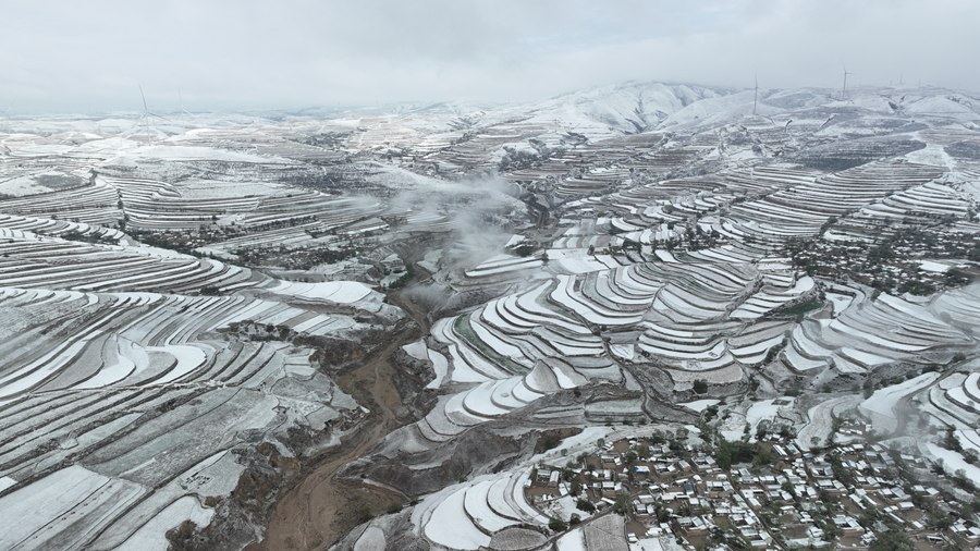 雪霽梯田壯美如畫。張文博 攝