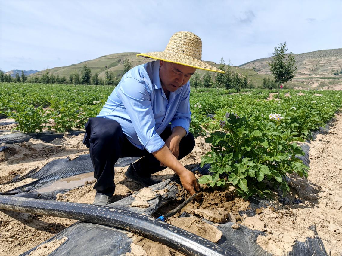 現(xiàn)代絲路寒旱農(nóng)業(yè)節(jié)水灌溉示范項目竣工通水